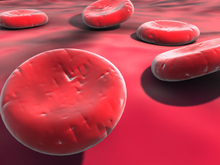 3D Render of Blood Cells